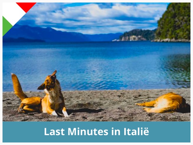 Last minute Italië met hond