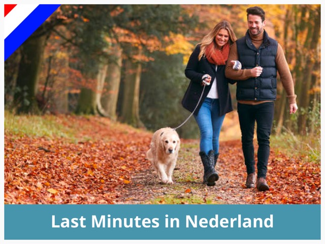Last minute vakantiehuis in Nederland met hond