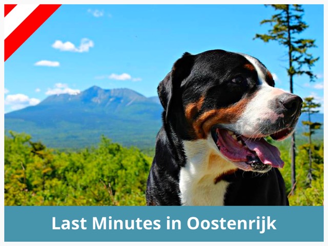 Last minute Vakantiehuis Oostenrijk hond toegestaan